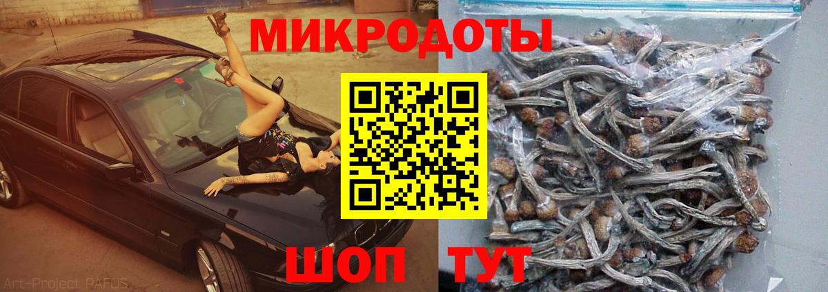 Галлюциногенные грибы мицелий  Галлюциногенные грибы Cubensis  Вход с VPN  Пермь 